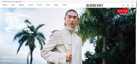 burberry shipping to israel|Burberry shipping.